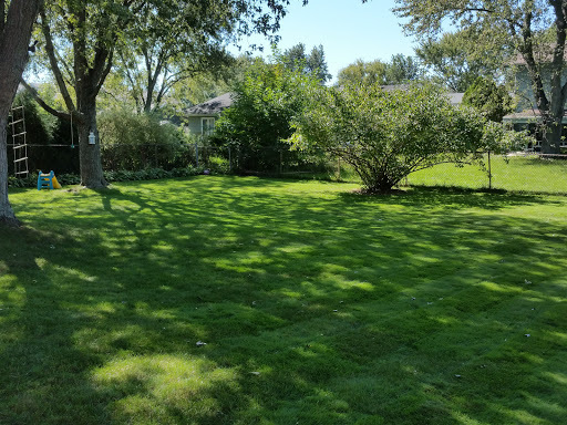 1410 Meyer Rd, Hoffman Estates, IL 60169 photo 23