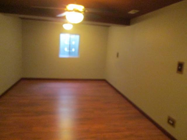 25631 S Middle Point Ave, Monee, IL 60449 photo 15
