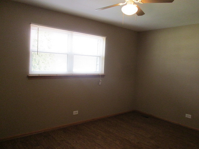 25631 S Middle Point Ave, Monee, IL 60449 photo 12