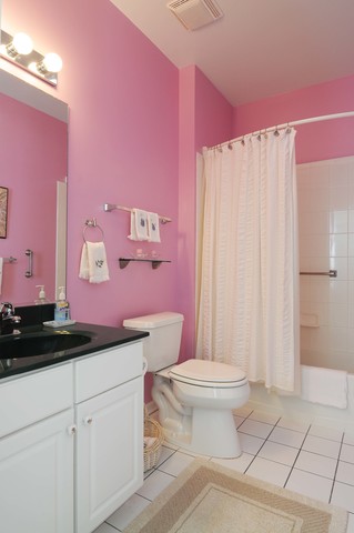 21055 W Walnut Dr, Plainfield, IL 60544 photo 15