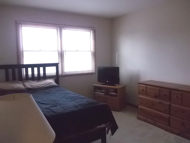 5204 W Springdale Ln, Mchenry, IL 60050 photo 15