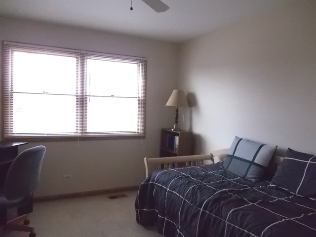 5204 W Springdale Ln, Mchenry, IL 60050 photo 16