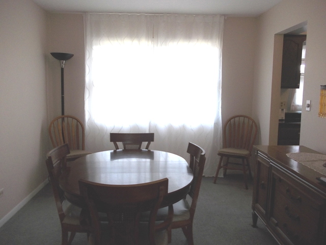5204 W Springdale Ln, Mchenry, IL 60050 photo 4