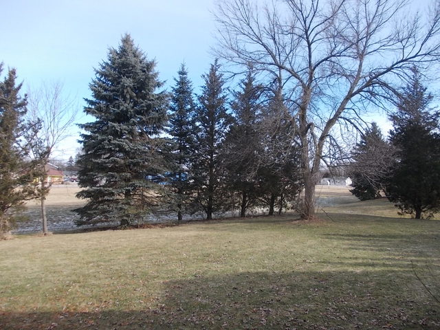 5204 W Springdale Ln, Mchenry, IL 60050 photo 22