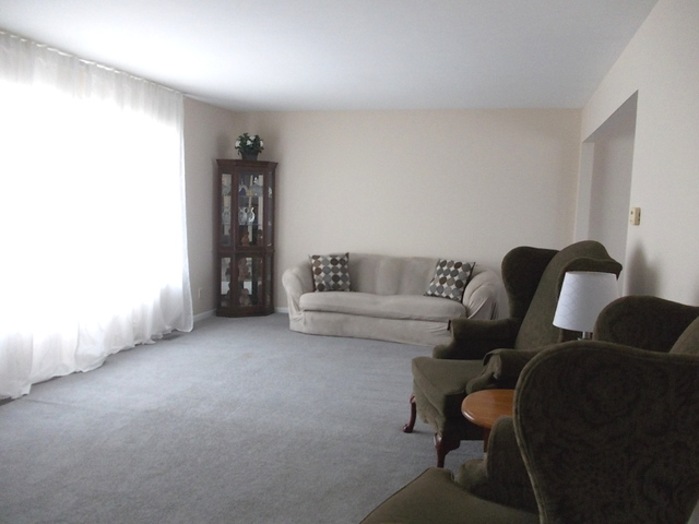 5204 W Springdale Ln, Mchenry, IL 60050 photo 3