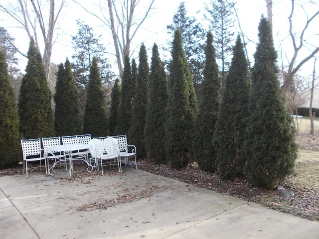 5204 W Springdale Ln, Mchenry, IL 60050 photo 21