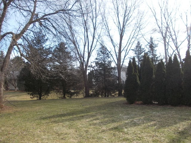 5204 W Springdale Ln, Mchenry, IL 60050 photo 23