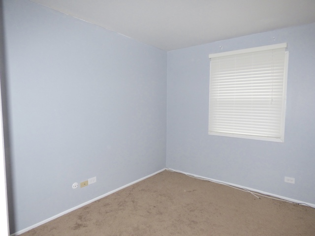 173 Emil Ct #D, Bartlett, IL 60103 photo 6