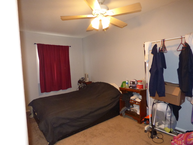 173 Emil Ct #D, Bartlett, IL 60103 photo 4