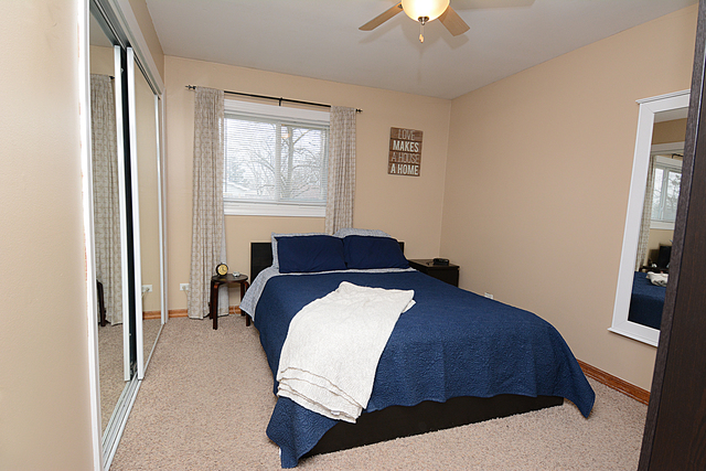 95 Westview St, Hoffman Estates, IL 60169 photo 15