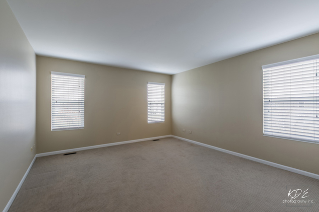 24349 Leski Ln, Plainfield, IL 60585 photo 21