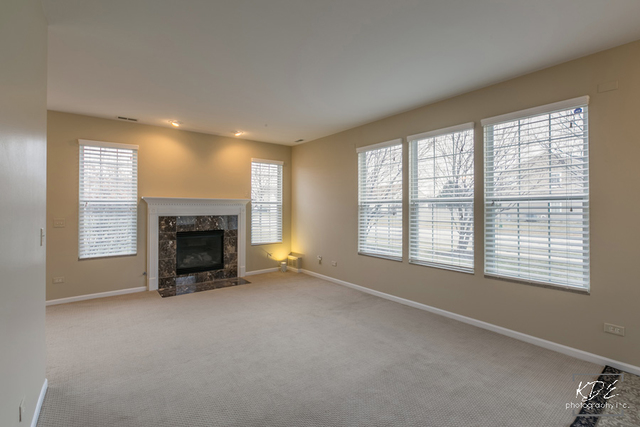 24349 Leski Ln, Plainfield, IL 60585 photo 3