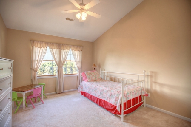 1134 Old Route 47, White Heath, IL 61884 photo 19