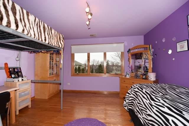 10505 Sharon Ln, Mokena, IL 60448 photo 19
