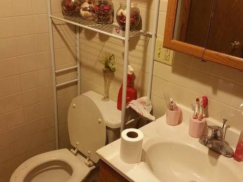 304 E 109th St, Chicago, IL 60628 photo 10