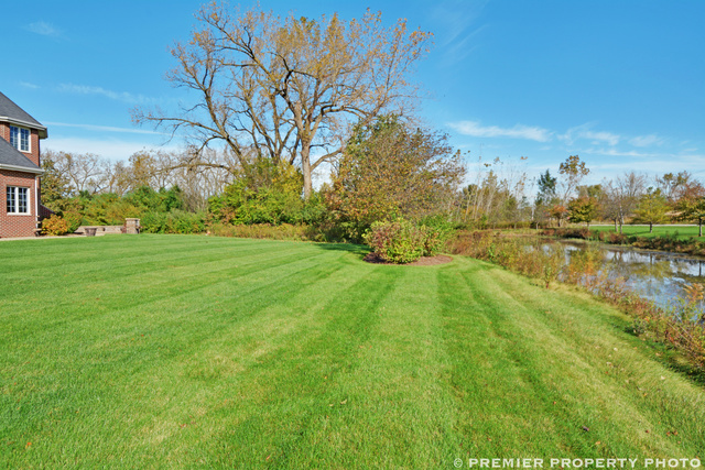 7217 S Bristol Ct, Monee, IL 60449 photo 24