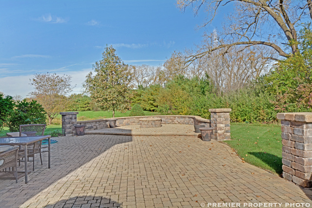 7217 S Bristol Ct, Monee, IL 60449 photo 21