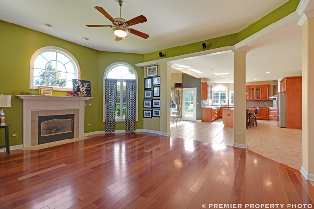 7217 S Bristol Ct, Monee, IL 60449 photo 8