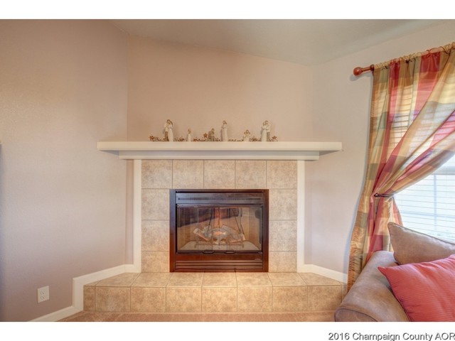 405 Rocket Rd, Tolono, IL 61880 photo 4