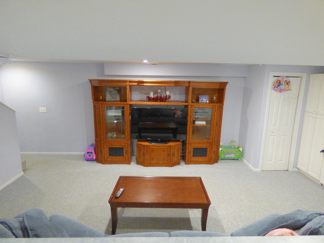 934 Hillside Ct, Bartlett, IL 60103 photo 16