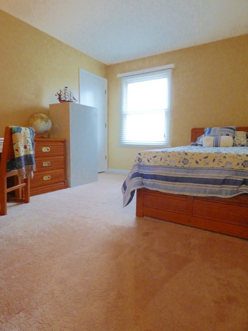 934 Hillside Ct, Bartlett, IL 60103 photo 13