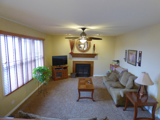 934 Hillside Ct, Bartlett, IL 60103 photo 8