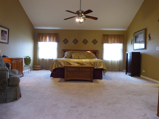 934 Hillside Ct, Bartlett, IL 60103 photo 10