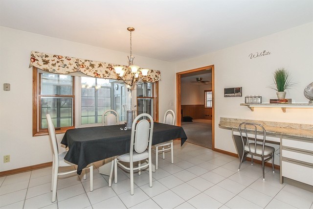 24 E Thorndale Ave, Roselle, IL 60172 photo 9