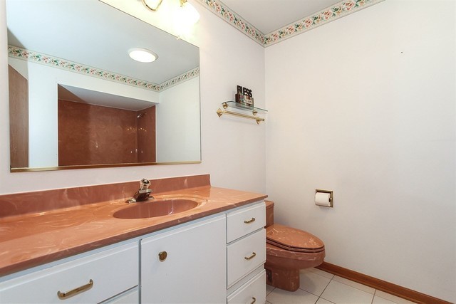 24 E Thorndale Ave, Roselle, IL 60172 photo 23