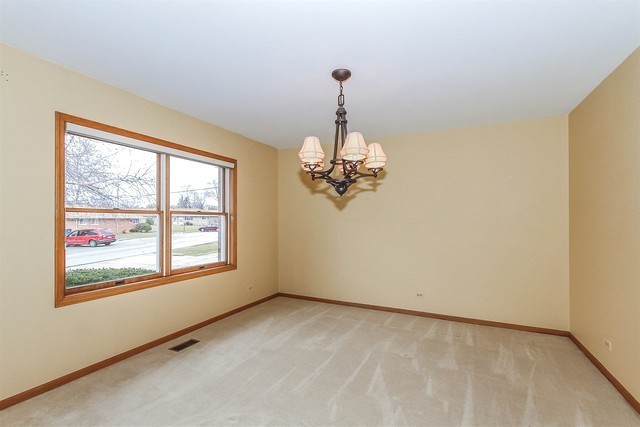 24 E Thorndale Ave, Roselle, IL 60172 photo 13