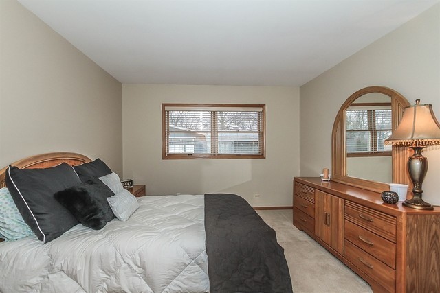 24 E Thorndale Ave, Roselle, IL 60172 photo 17