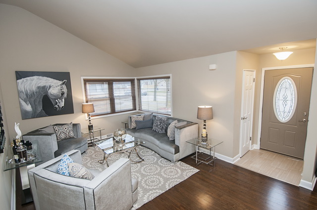 411 E Park Ave, Elmhurst, IL 60126 photo 3