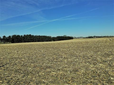 1112 Eagle Lake Rd, Beecher, IL 60401 photo 2
