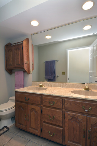 618 Sandy Ln, Des Plaines, IL 60016 photo 22