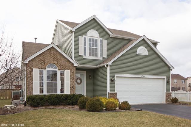 1703 Red Maple Dr, Plainfield, IL 60586 photo 1