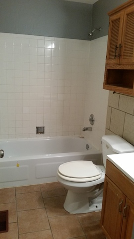 1149 E 94th St, Chicago, IL 60619 photo 6