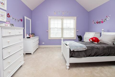 26107 Oakcrest Ln, Plainfield, IL 60585 photo 20