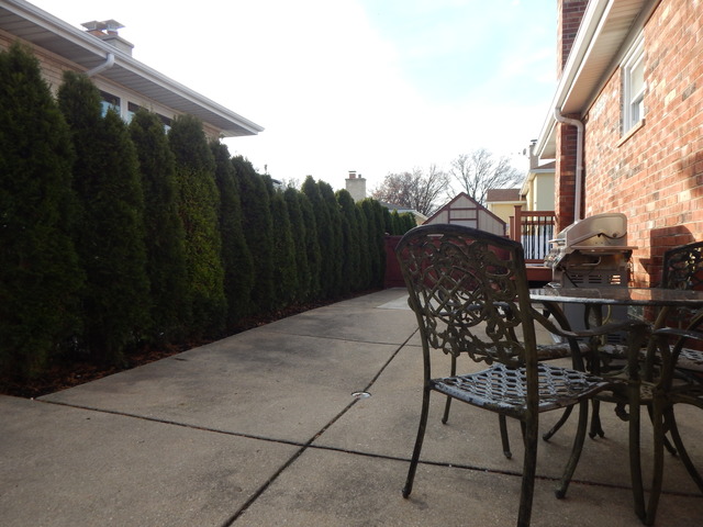4606 N Anthon Ave, Chicago, IL 60656 photo 19