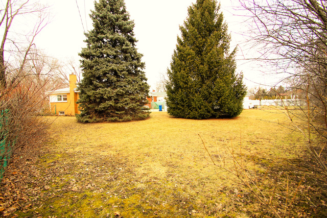 537 Cambridge Rd, Des Plaines, IL 60016 photo 11
