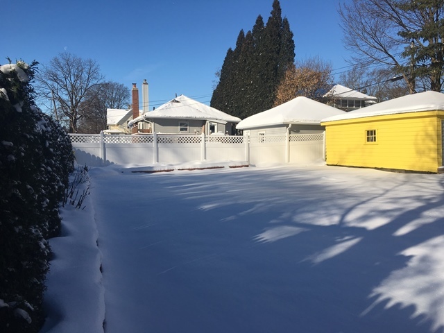 162 N Worth Ave, Elgin, IL 60123 photo 23