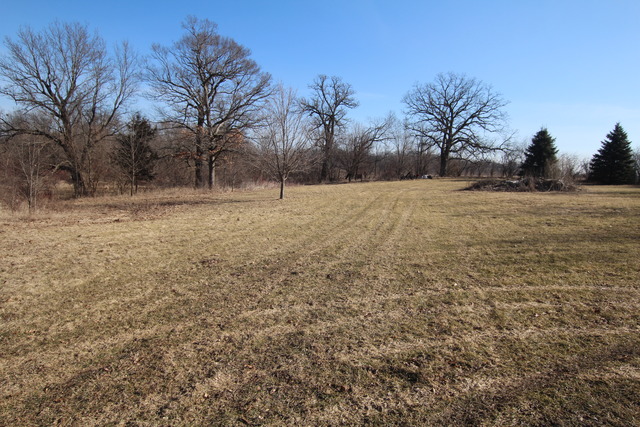 12881 River Rd, Plano, IL 60545 photo 21
