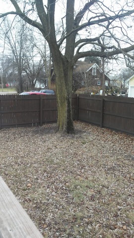 601 E Norris Dr, Ottawa, IL 61350 photo 4