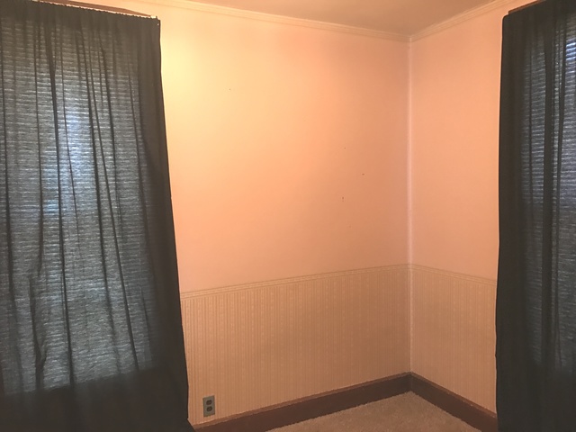 203 E Central Ave, Princeton, IL 61356 photo 7
