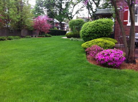 847 Jackson Ave, River Forest, IL 60305 photo 24