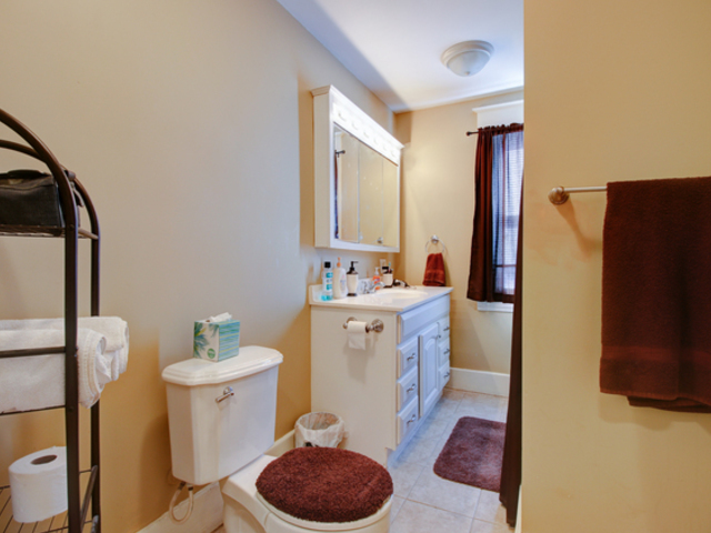 208 N Leney St, Ogden, IL 61859 photo 18