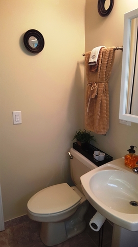 139 Wilcox Ave, Elgin, IL 60123 photo 7