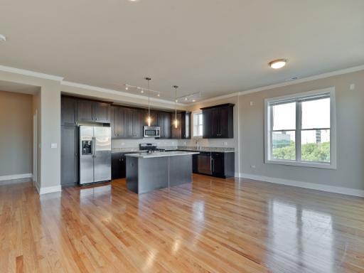 207 E 31st St #4D, Chicago, IL 60616 photo 4