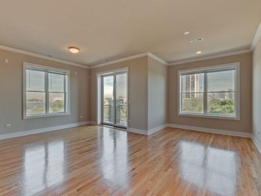 207 E 31st St #4D, Chicago, IL 60616 photo 3