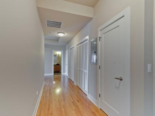 207 E 31st St #4D, Chicago, IL 60616 photo 2