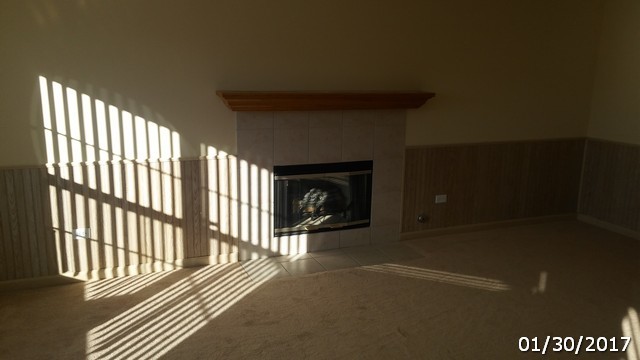 4675 W Tulip Ave, Monee, IL 60449 photo 8